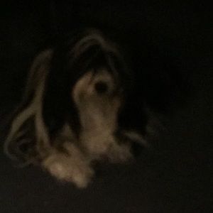 Meet your Posher, Becky